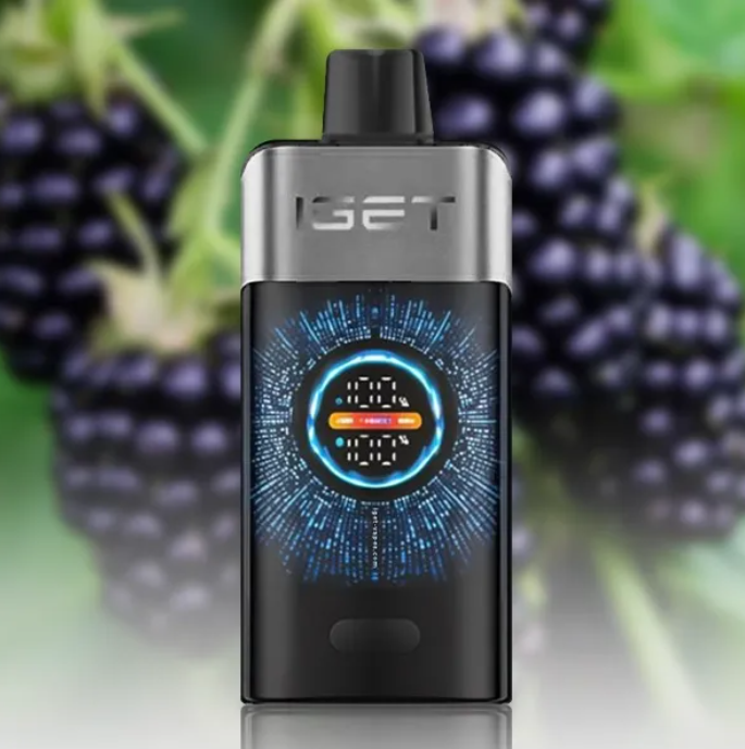 IGET One 12000 Puffs - Blackberry Ice