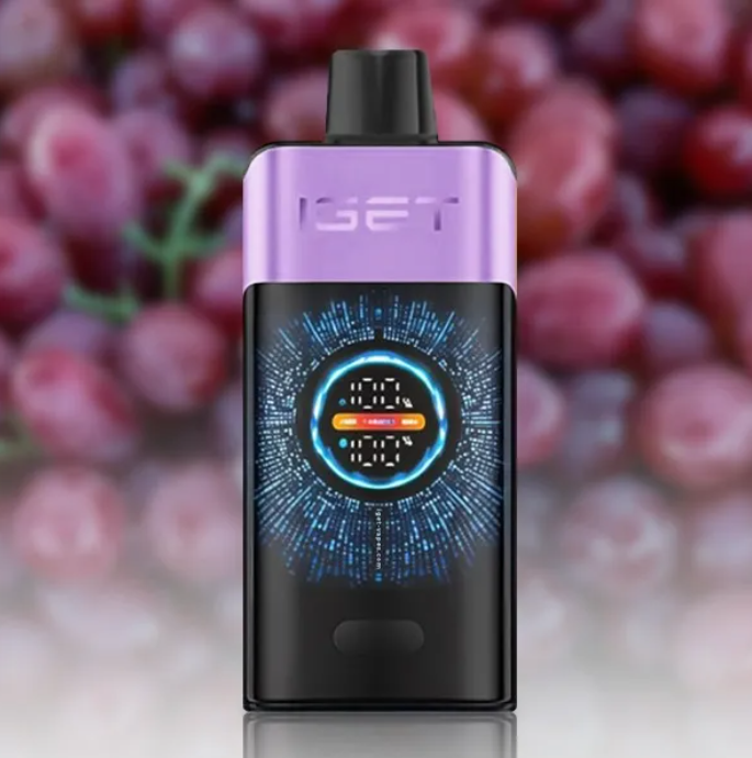 IGET One 12000 Puffs - Grape Ice